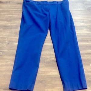 Cute blue NY&C ankle pants. Size 16. Never worn.